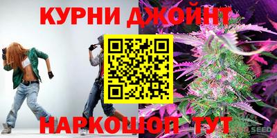 mdpv Новозыбков
