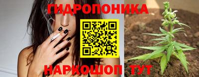 mdpv Новозыбков